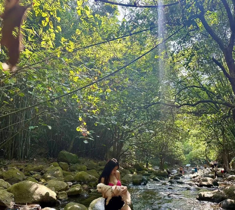 美女与西瓜 🍉🐶美女与西瓜 🍉🐶